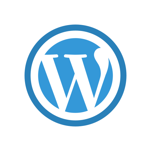 Plug-in Finteza pour Wordpress
