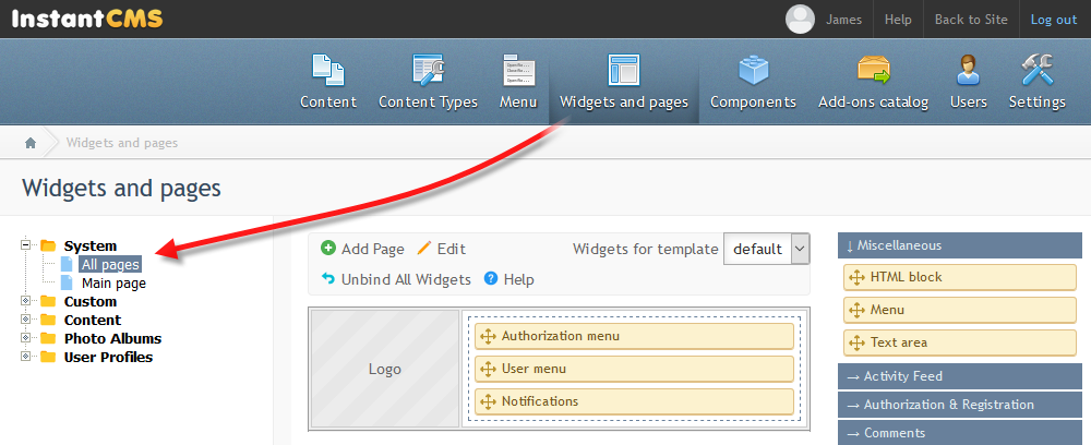 Select the "Widgets and pages" menu item in the site control panel