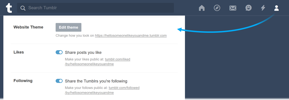 Click Edit Theme in the profile