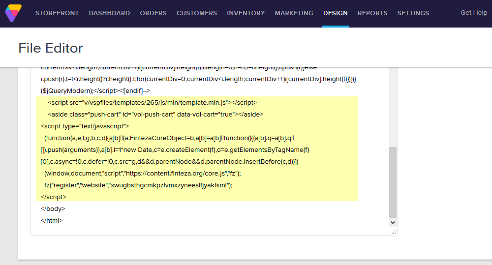 Paste the Finteza code in the template